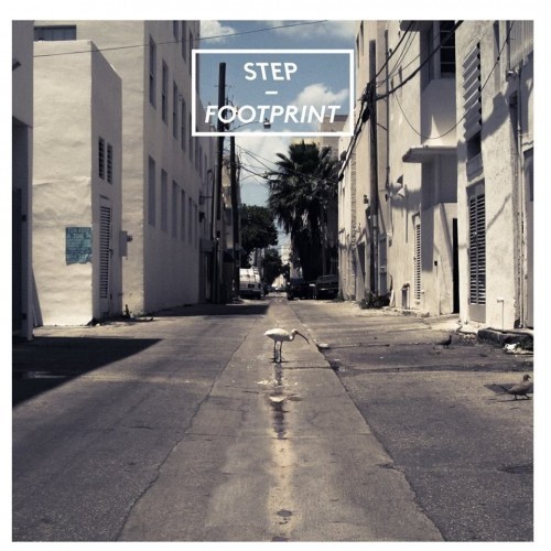 Vinyl LP - Step "Footprint"